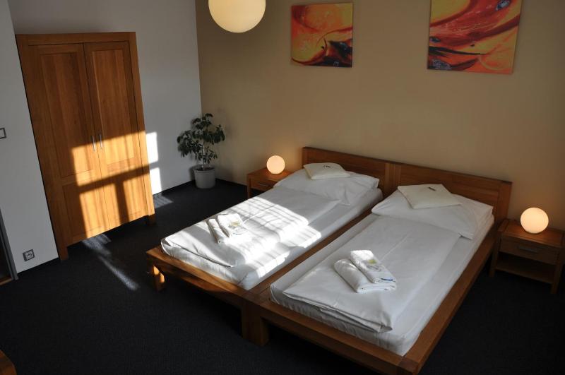 Hotel Lions Plzen - Genel