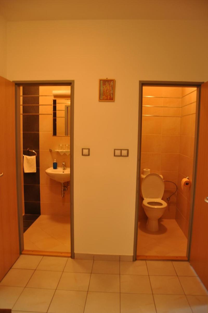 Hotel Lions Plzen - Genel