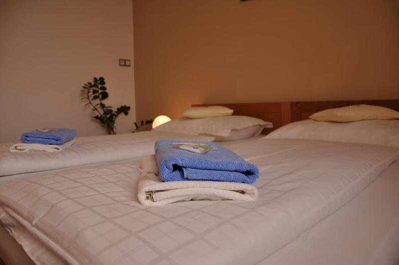 Hotel Lions Plzen - Oda