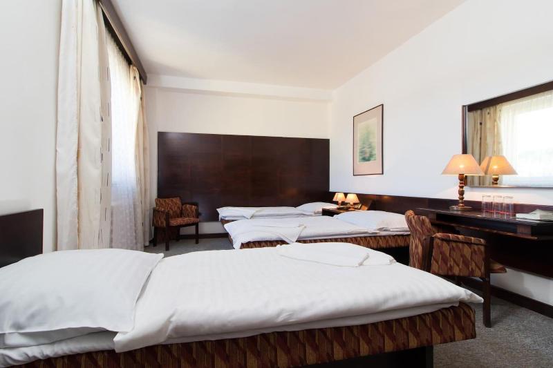 Hotel Merkur - Oda