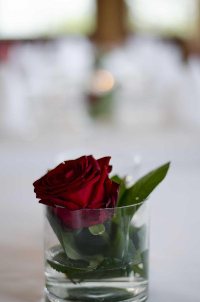 Hotel-Restaurant Staribacher - Toplantı