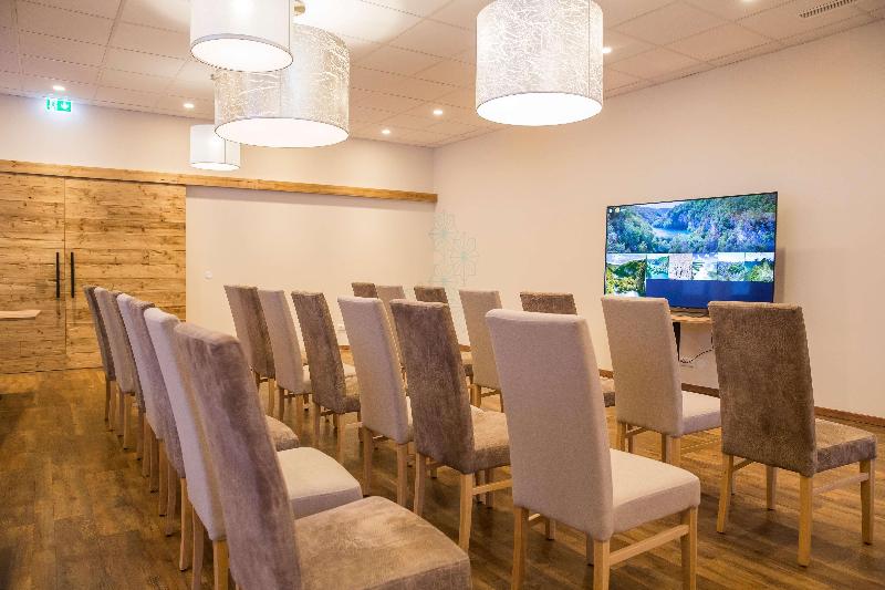 Cooee Alpin Hotel Dachstein - Toplantı