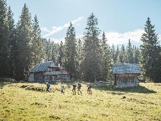 Cooee Alpin Hotel Dachstein fotoÄŸrafÄ±