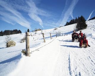 Hotel Gasthof Krone fotoÄŸrafÄ±