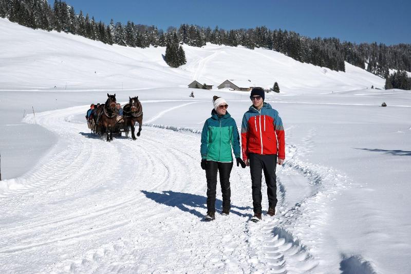 Hotel Gasthof Krone - Aktivite