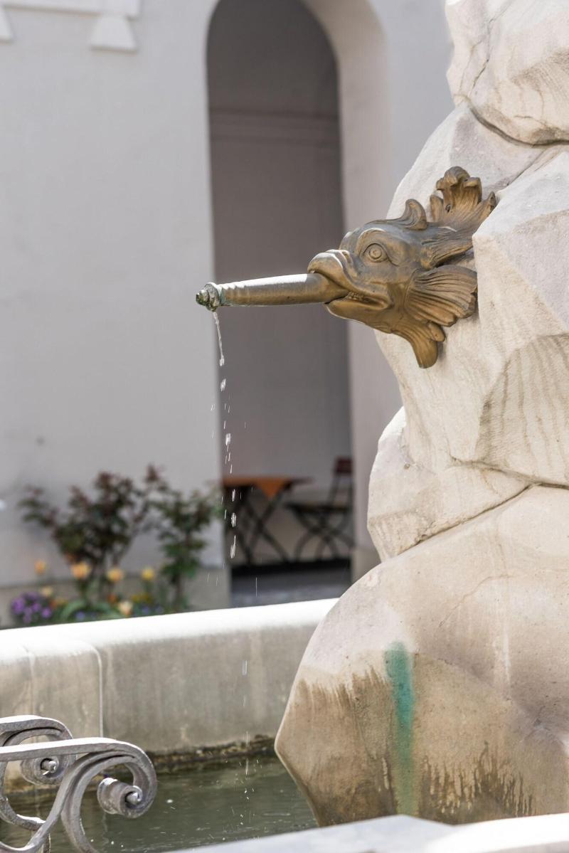 Gästehaus im Priesterseminar Salzburg - Genel