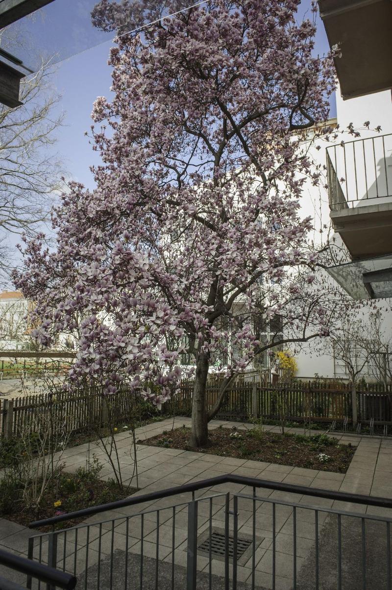 Haus Mobene - Hotel Garni - Oda