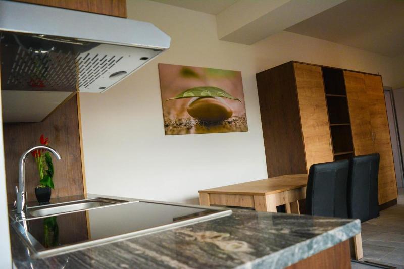 Wels Inn Hotel - Oda