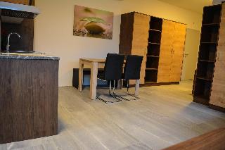 Wels Inn Hotel fotoÄŸrafÄ±