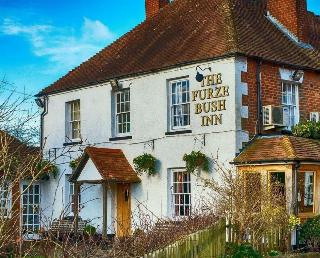 The Furze Bush Inn otel fotoğrafı