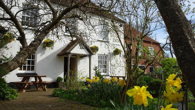 The Furze Bush Inn - Genel