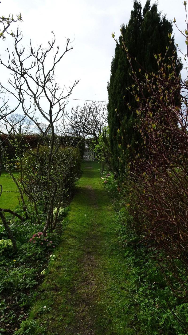 The Furze Bush Inn - Genel