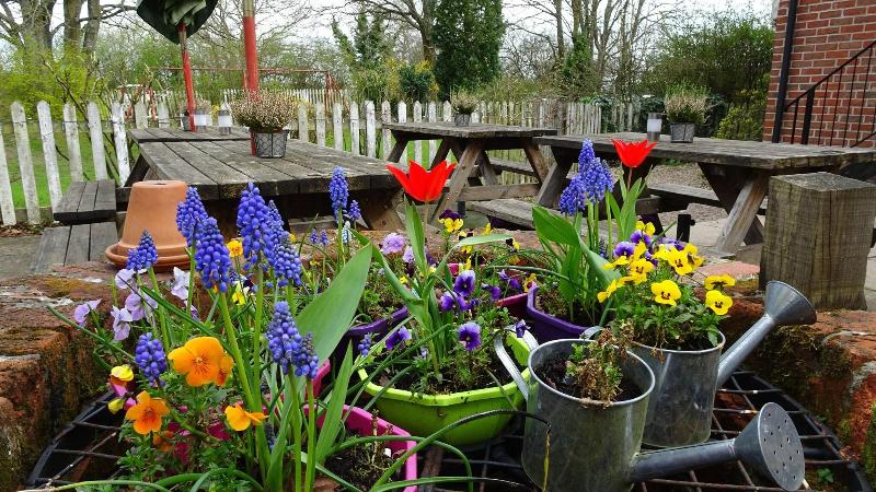 The Furze Bush Inn - Teras