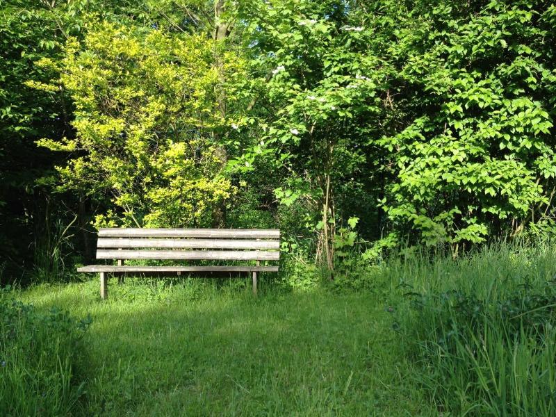 Apartmenthaus Somborn - Genel