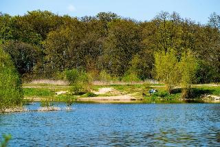 Waldhotel Schipp Hummert fotoÄŸrafÄ±