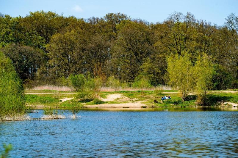 Waldhotel Schipp Hummert - Genel