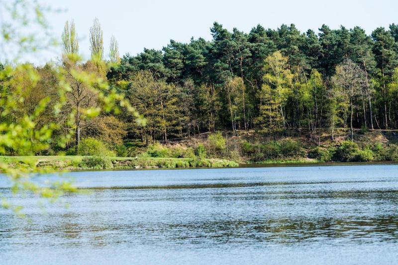 Waldhotel Schipp Hummert - Genel