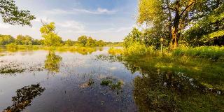 Waldhotel Schipp Hummert fotoÄŸrafÄ±