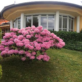 Parkhotel Margaretenhof fotoÄŸrafÄ±