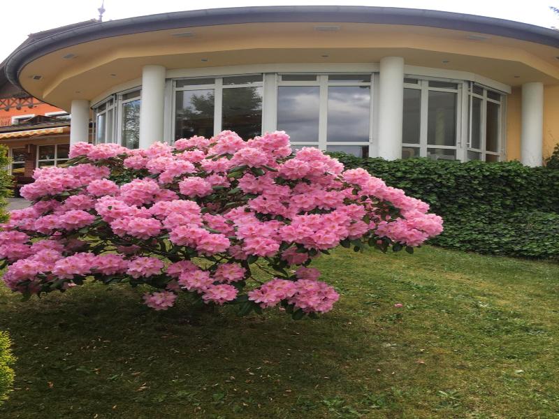 Parkhotel Margaretenhof - Genel