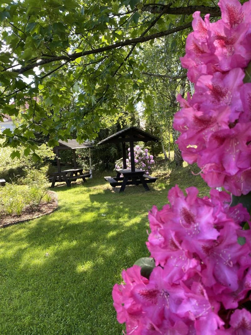 Parkhotel Margaretenhof - Genel