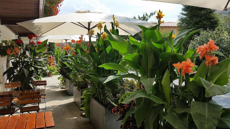 Hotel Garni Sonnenhof - Teras