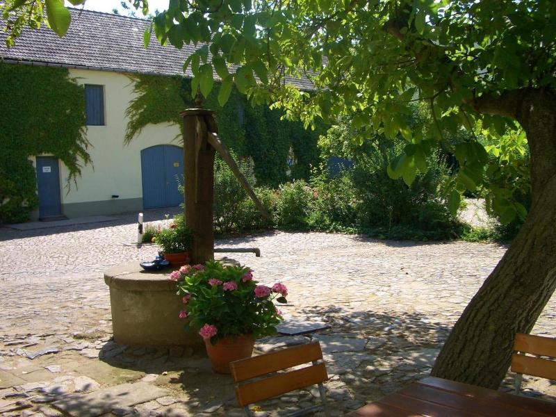 Hotel & Restaurant Moritz an der Elbe - Genel