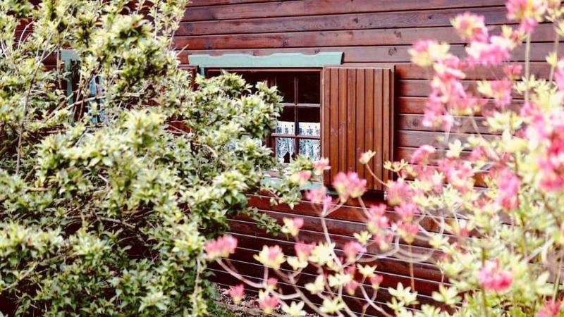 Hotel Forsthaus Luchsenburg - Genel