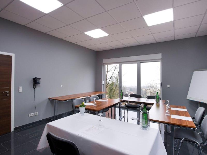 Design-Konferenzhotel Steinernes Schweinchen - Toplantı
