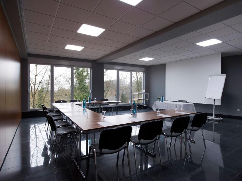 Design-Konferenzhotel Steinernes Schweinchen - Toplantı