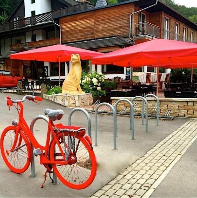 Hotel Roter Kater - Aktivite