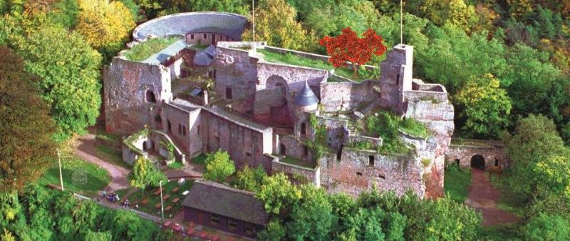 Hotel Garni 4U - Genel