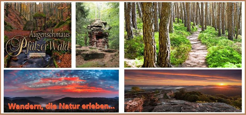 Hotel Garni 4U - Genel