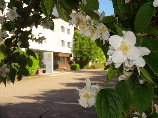 Hotel Scholz fotoÄŸrafÄ±