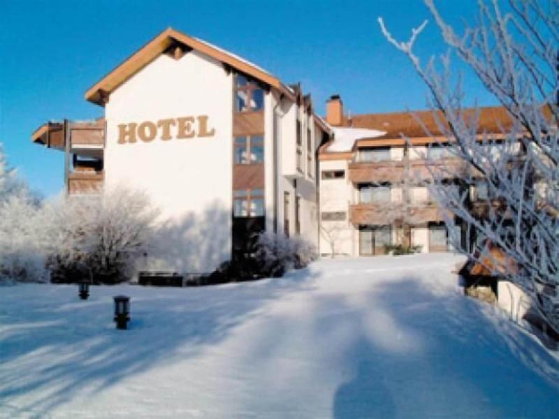 Waldhotel Luise - Genel