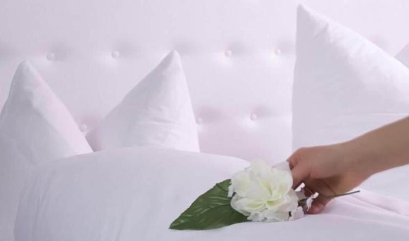 Art Hotel Ingolstadt - Oda