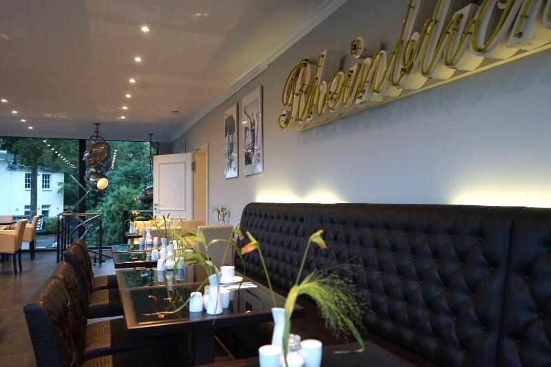Villahotel Rheinblick - Lobi