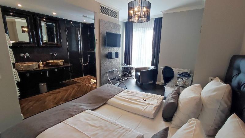 Villahotel Rheinblick - Oda