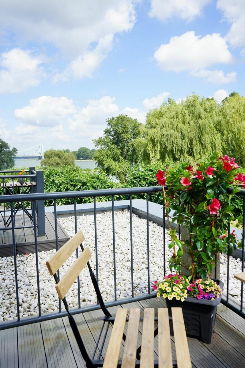 Villahotel Rheinblick - Teras