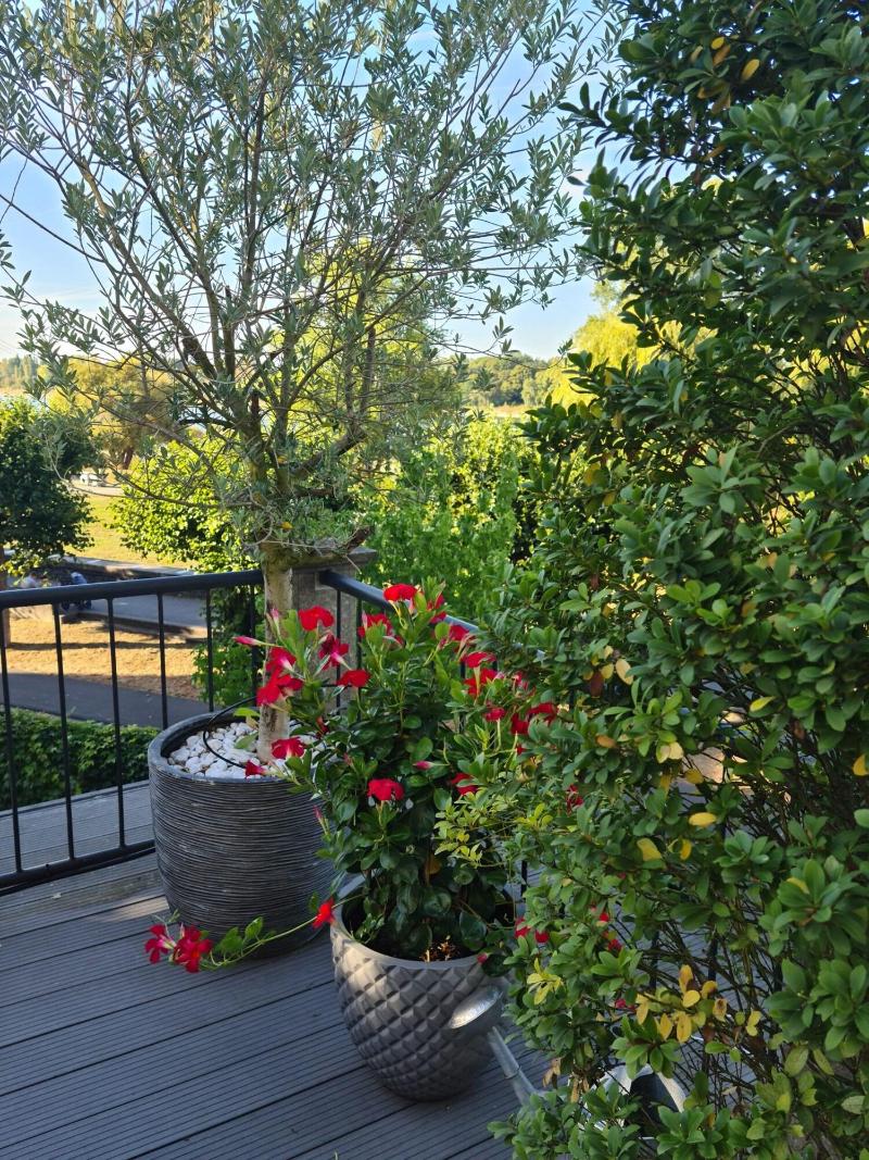 Villahotel Rheinblick - Teras