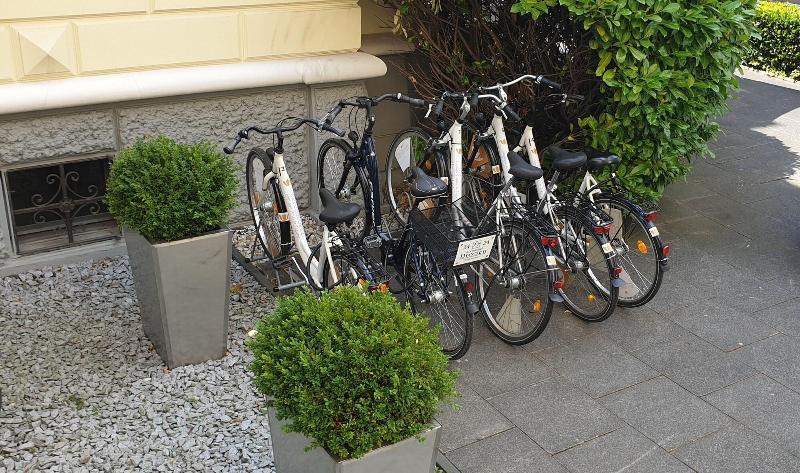 Boutiquehotel Dreesen, Villa Godesberg - Aktivite
