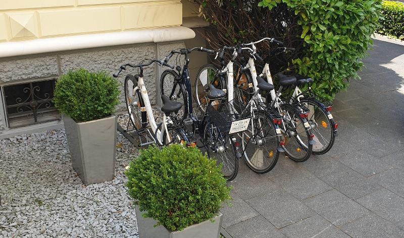 Boutiquehotel Dreesen, Villa Godesberg - Aktivite