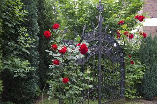 Boutiquehotel Dreesen, Villa Godesberg fotoÄŸrafÄ±