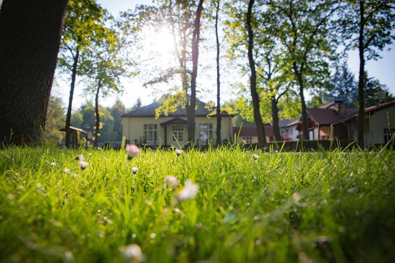 Hotel Waldschlösschen - Genel