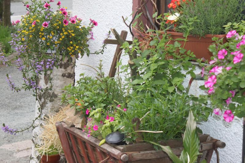 Hotel Und Restaurant Die Burg - Teras