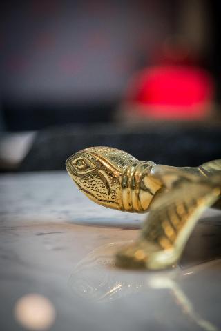 Tortue Hamburg fotoÄŸrafÄ±