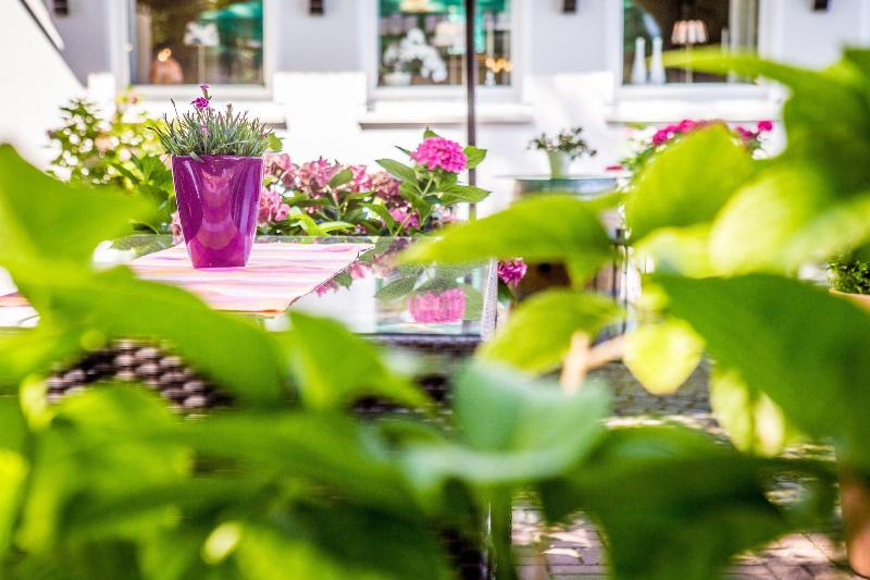 Hotel Restaurant Hackmann-Atter - Teras