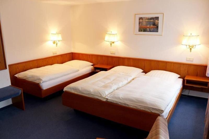 Hotel Am Steinberg - Oda
