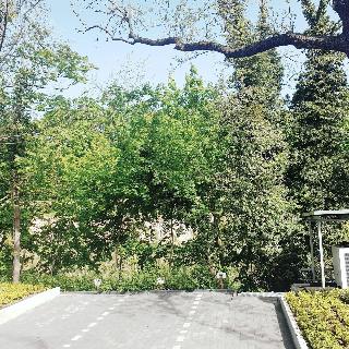 Akzent Hotel Villa Saxer fotoÄŸrafÄ±
