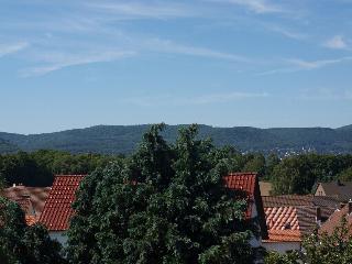 Landgasthaus Hotel Bonn fotoÄŸrafÄ±